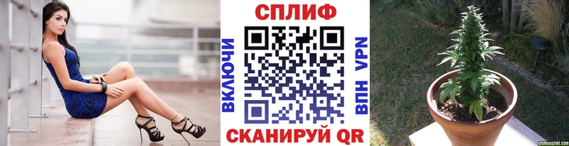МАРИХУАНА сатива  Кяхта 